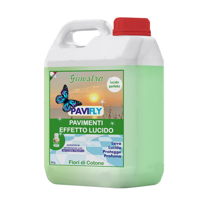 GINOSTRA | Lava Tudo Concentrado 5L - ARCO